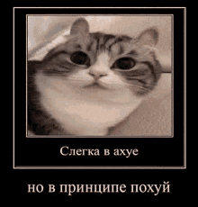 1792593975792.png