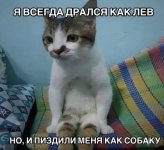 IMG_9682.jpeg