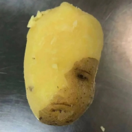Tendo